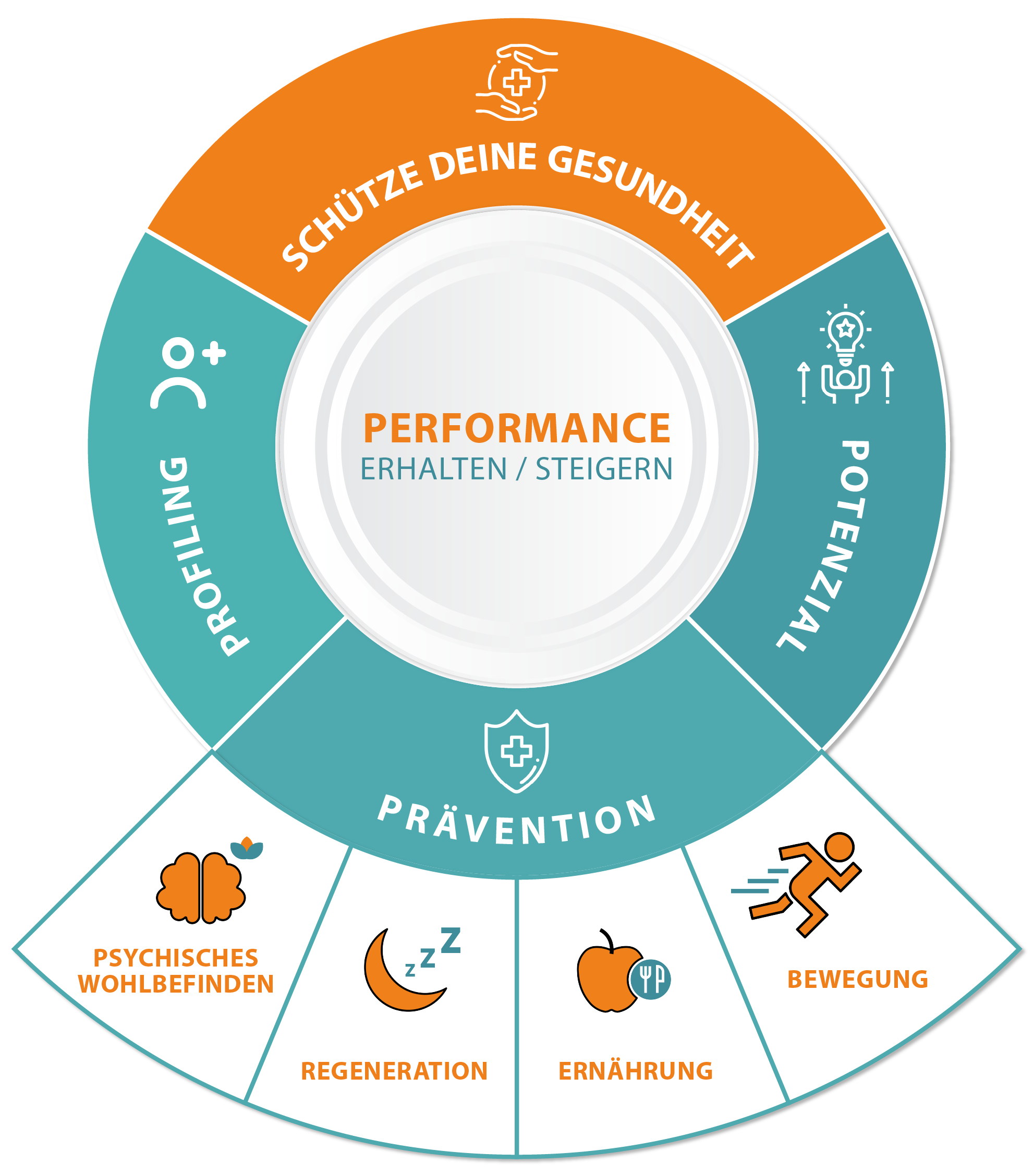 Der Motion4Balance Coaching-Rahmen